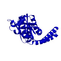 Image of CATH 5gnp