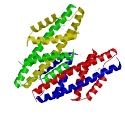 Image of CATH 5go2
