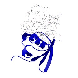 Image of CATH 5goh