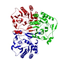 Image of CATH 5gp1
