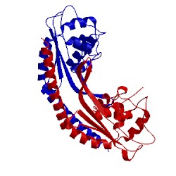Image of CATH 5gpl