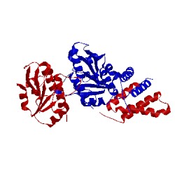 Image of CATH 5gra