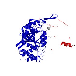 Image of CATH 5grf