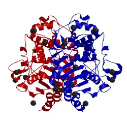 Image of CATH 5gsc