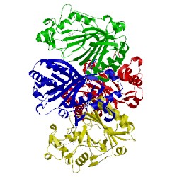 Image of CATH 5gt2