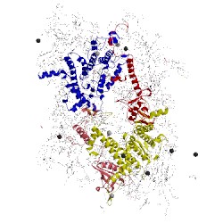 Image of CATH 5gth