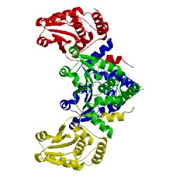 Image of CATH 5gtj