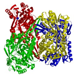 Image of CATH 5gtk