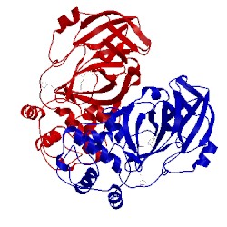 Image of CATH 5gwz
