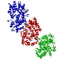 Image of CATH 5gx6