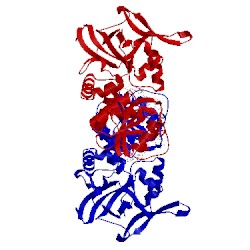 Image of CATH 5gxe