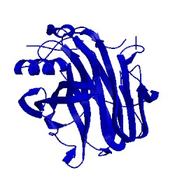 Image of CATH 5gye