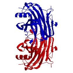 Image of CATH 5gyg