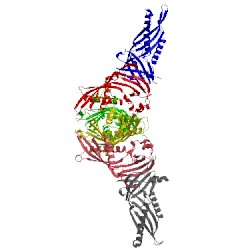 Image of CATH 5gyk