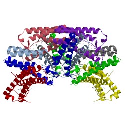 Image of CATH 5gyr