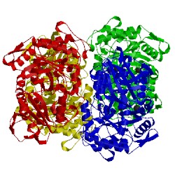 Image of CATH 5h06