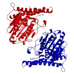 Image of CATH 5h0i