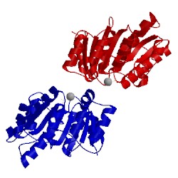 Image of CATH 5h1y