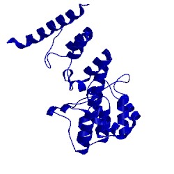 Image of CATH 5h2c