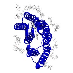 Image of CATH 5h2n