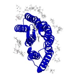 Image of CATH 5h2o