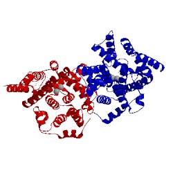 Image of CATH 5h2r