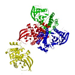 Image of CATH 5h2u