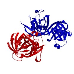Image of CATH 5h2y