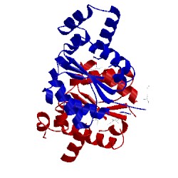 Image of CATH 5h3c