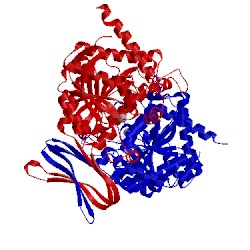 Image of CATH 5h3f