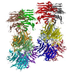 Image of CATH 5h47
