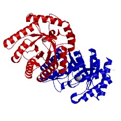 Image of CATH 5h6h