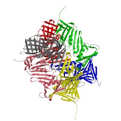 Image of CATH 5hac