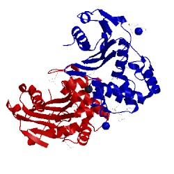 Image of CATH 5hap