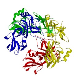 Image of CATH 5hc1