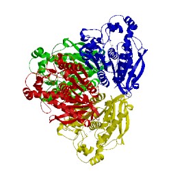 Image of CATH 5hc2