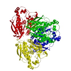Image of CATH 5hc4