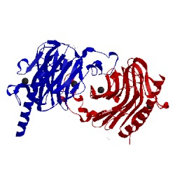 Image of CATH 5hcb