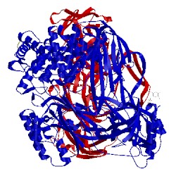 Image of CATH 5hcc