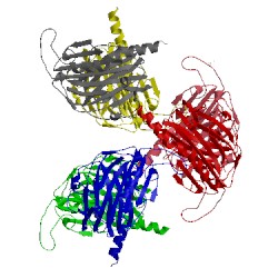 Image of CATH 5hcf