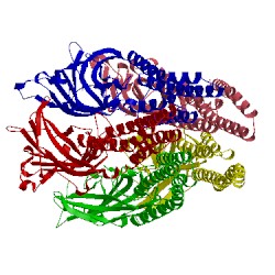 Image of CATH 5hcm
