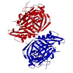 Image of CATH 5hdu