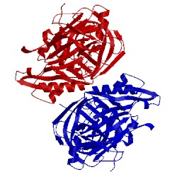 Image of CATH 5hdx