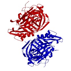 Image of CATH 5he7