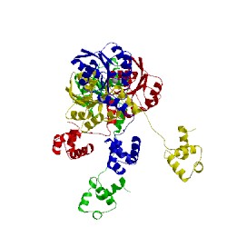 Image of CATH 5hev