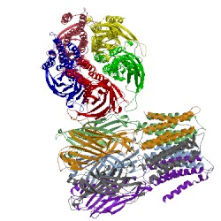 Image of CATH 5hew