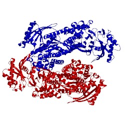 Image of CATH 5hex