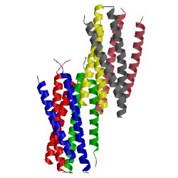 Image of CATH 5hfl
