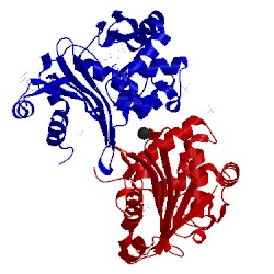 Image of CATH 5hfo