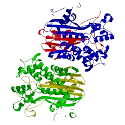 Image of CATH 5hft